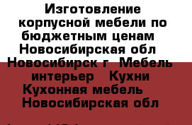 Изготовление корпусной мебели по бюджетным ценам - Новосибирская обл., Новосибирск г. Мебель, интерьер » Кухни. Кухонная мебель   . Новосибирская обл.